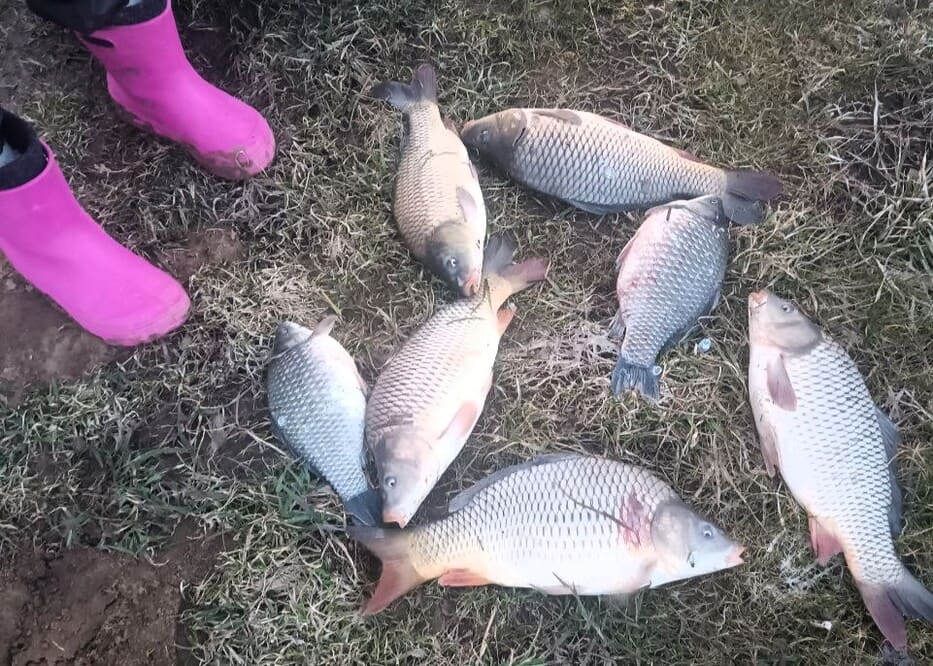 Аренда офиса  